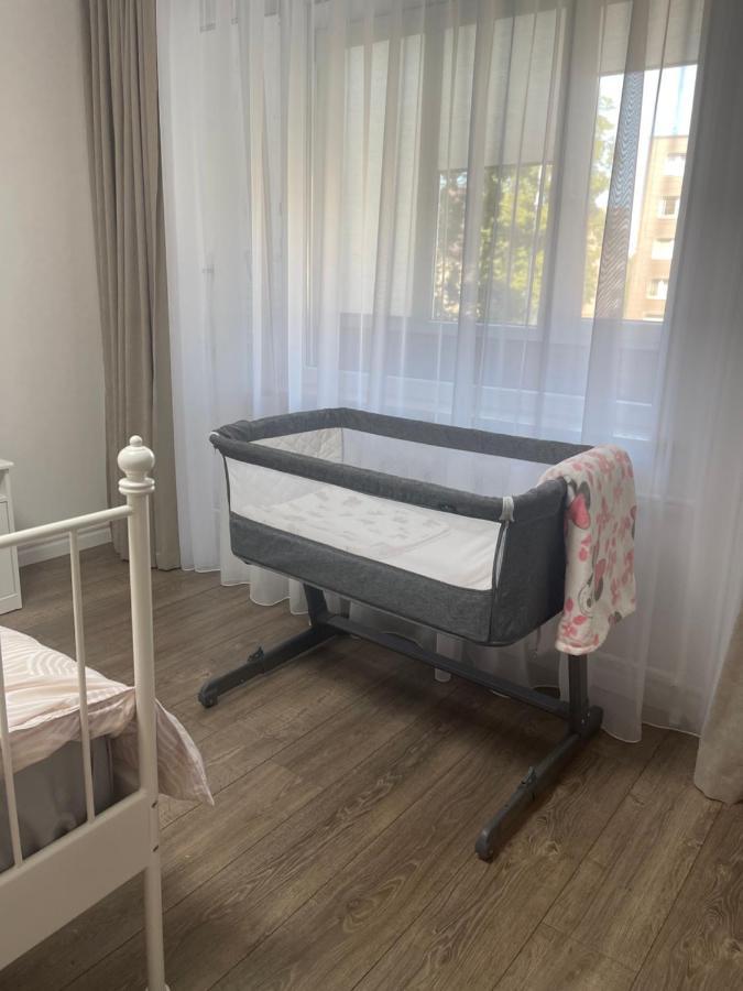 Apartments In The City Center Birzai Vytauto G22 Exterior foto