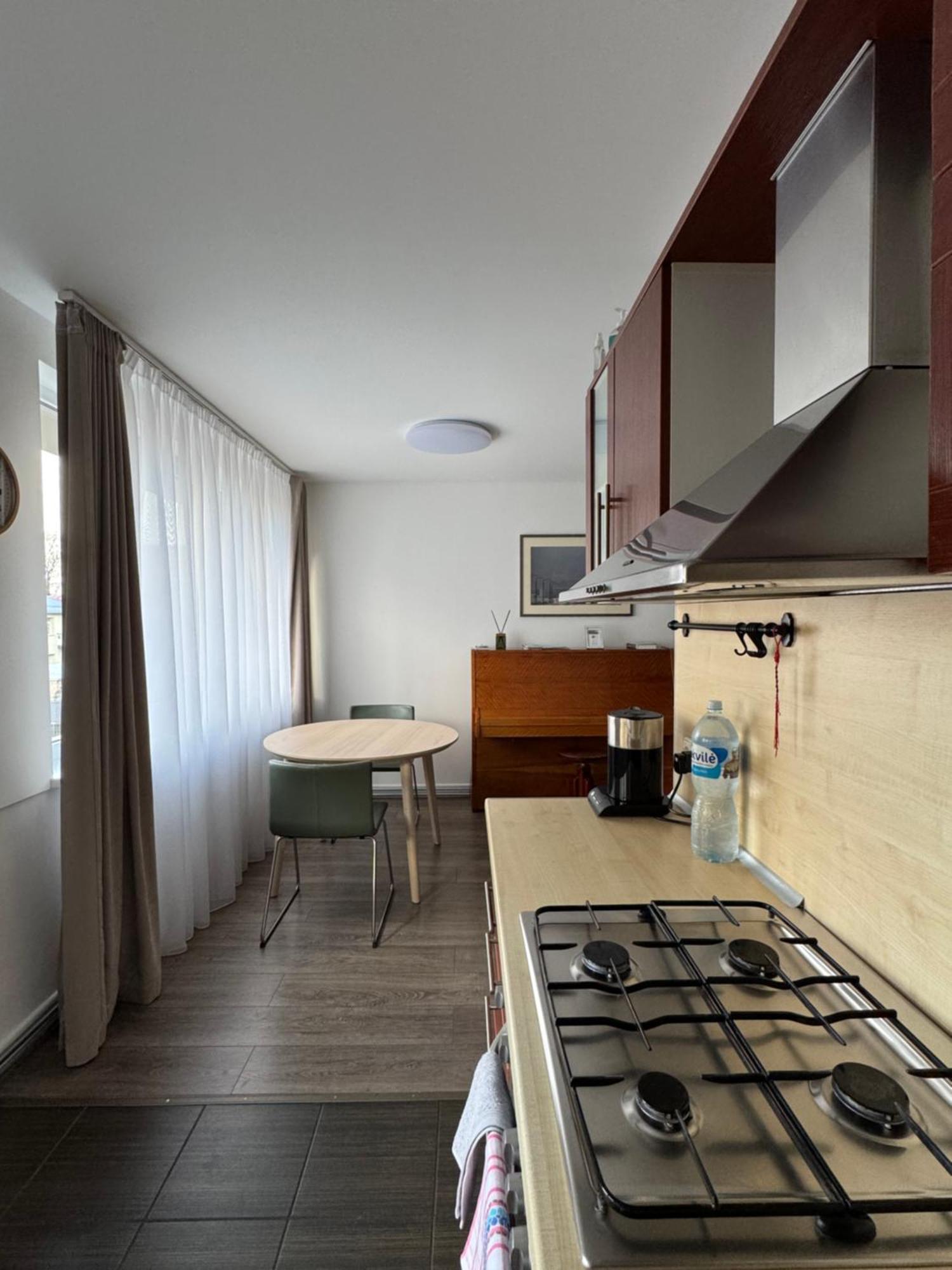 Apartments In The City Center Birzai Vytauto G22 Exterior foto